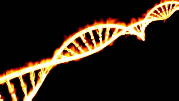 DNA, burning DNA helix, deoxyribonucleic acid is a nucleic acid that contains genetic information for the development and proper functioning of living organisms. Fire and flames. 3d rendering