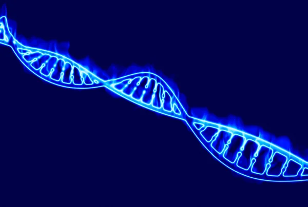 DNA, burning DNA helix, deoxyribonucleic acid is a nucleic acid that contains genetic information for the development and proper functioning of living organisms. Fire and blue flames. 3d rendering