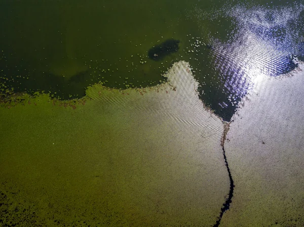 Luchtfoto Van Waterlelies Van Bovenaf Gezien Grote Bladeren Bedekken Het — Stockfoto