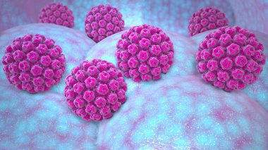 İnsan papillomavirüs enfeksiyonu. Virüs. HPV dünya çapında cinsel yolla bulaşan en yaygın enfeksiyondur. HPV enfeksiyonuna papillomavirus ailesinden bir DNA virüsü olan insan papillomavirus neden olur.