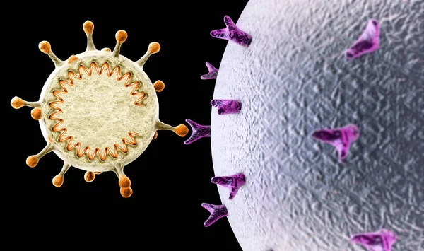 Ausbreitung Des Virus Wie Coronavirus Zellen Angreift Findet Das Virus — Stockfoto