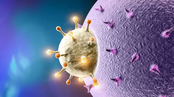 Propagation Virus How Coronavirus Attacks Cells Virus Finds Compatible Receptor — Stock Photo, Image