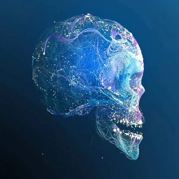 Анатомический Взгляд Череп Нейронные Взаимосвязи Мозг Связь Мысли Мысли Нейроны — стоковое фото