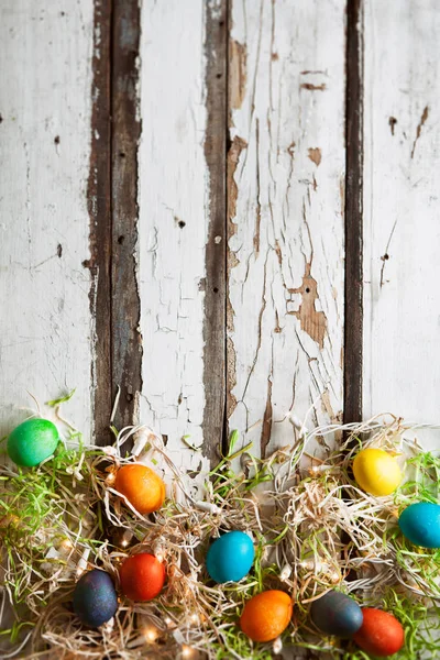 Pascua: Huevos de colores se sientan entre las luces brillantes en la hierba — Foto de Stock