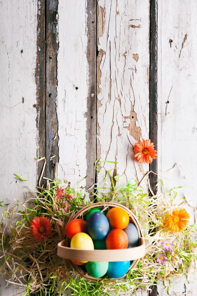 : Barevné kraslice v koši s květinami a trávníkem a okolí — Stock fotografie