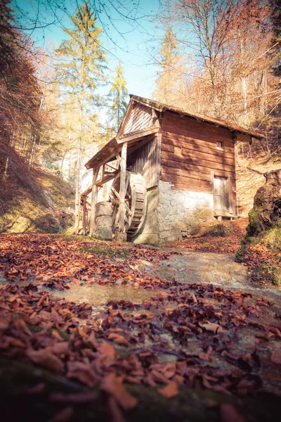 Abandonado moinho de água idílico na floresta outonal, Koppl, Áustria — Fotografia de Stock