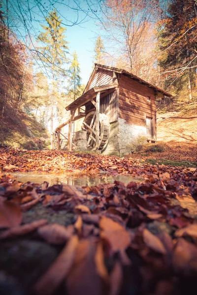 Opuštěný idylický vodní mlýn v podzimním lese, Koppl, Rakousko — Stock fotografie