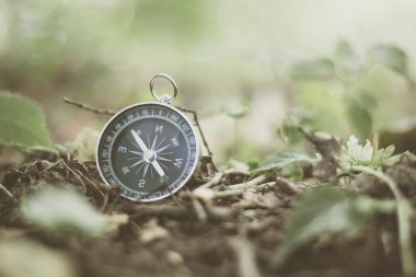 Macera: pusula yerde yatıyor, yönü gösteriyor 