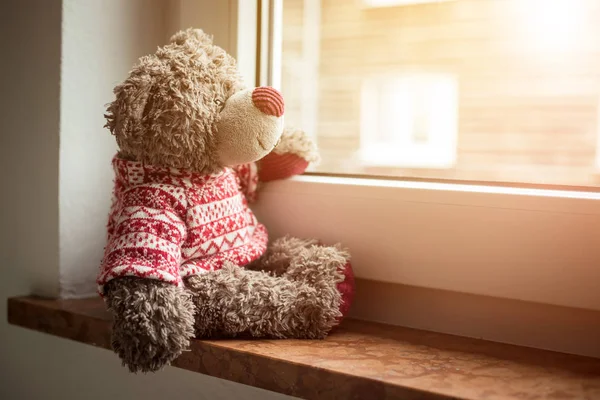 可爱的泰迪熊正坐在窗台上 望着窗外的阳光 — 图库照片