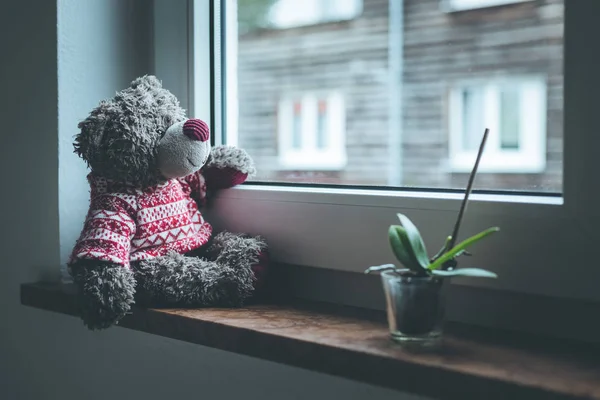 Urso Pelúcia Bonito Está Sentado Peitoril Janela Olhando Para Fora — Fotografia de Stock