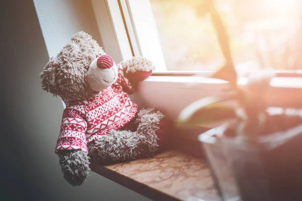 Mignon Nounours Est Assis Sur Rebord Fenêtre Regardant Par Fenêtre — Photo