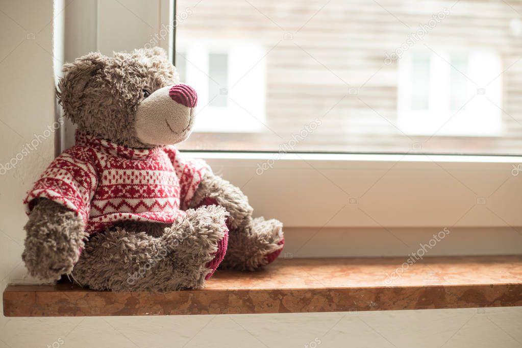 Cute teddy bear is sitting on the windowsill, looking out of the window