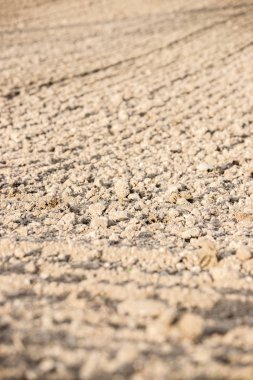 Toprağı sürdüm, tarlayı sürdüm. Yiyecek tedariği kavramı. 