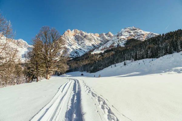 Vackert Idylliskt Vinterlandskap Med Gångväg Fantastisk Bergskedja Snöiga Träd Och — Stockfoto