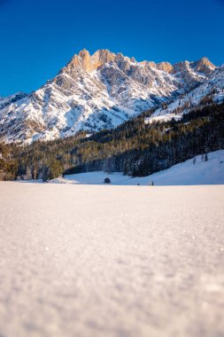 Güzel sakin kış manzarası: çarpıcı dağ sıraları, karlı ağaçlar ve mavi gökyüzü.