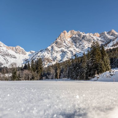 Güzel sakin kış manzarası: çarpıcı dağ sıraları, karlı ağaçlar ve mavi gökyüzü.