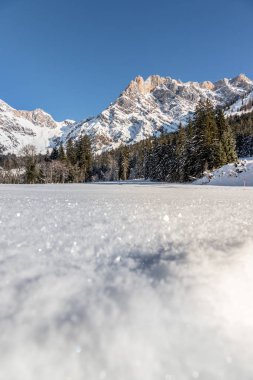 Güzel sakin kış manzarası: çarpıcı dağ sıraları, karlı ağaçlar ve mavi gökyüzü.