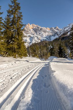 Cross-country skiing slope in Austria, Hinterthal, beautiful mountain scenery, blurry background clipart