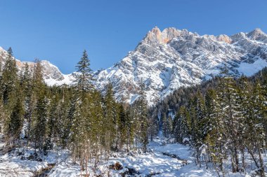 Güzel sakin kış manzarası: çarpıcı dağ sıraları, karlı ağaçlar ve mavi gökyüzü.