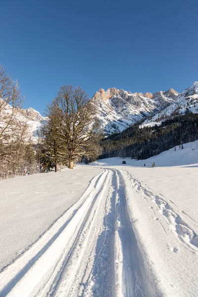 Vackert Idylliskt Vinterlandskap Med Gångväg Fantastisk Bergskedja Snöiga Träd Och — Stockfoto