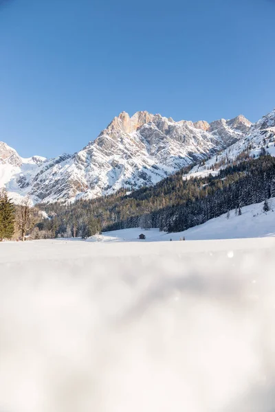 Vackert Idylliskt Vinterlandskap Fantastisk Bergskedja Snöiga Träd Och Blå Himmel — Stockfoto