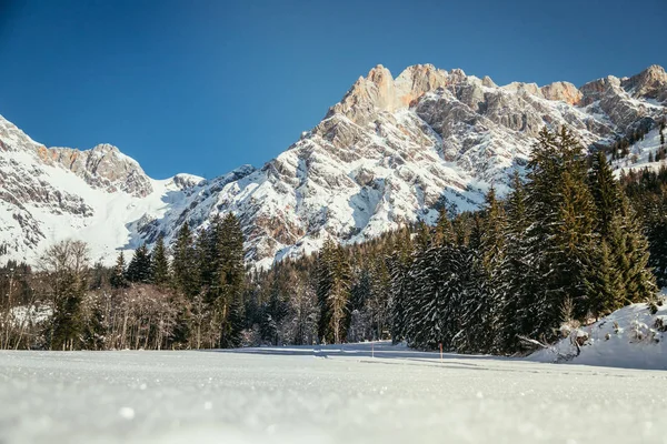 Hermoso Paisaje Idílico Invierno Impresionante Cordillera Árboles Nevados Cielo Azul —  Fotos de Stock