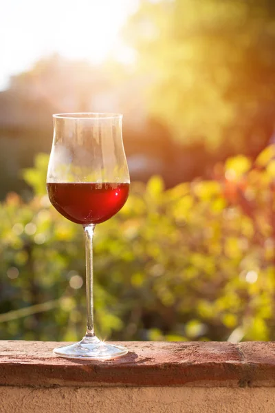 Genieten Van Een Glas Rode Wijn Toscane Italië Wazige Wijnvelden — Stockfoto