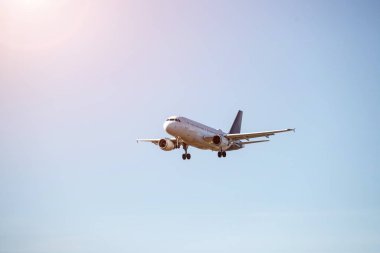 Aircraft is touching down on the airport, close up