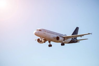Aircraft is touching down on the airport, close up