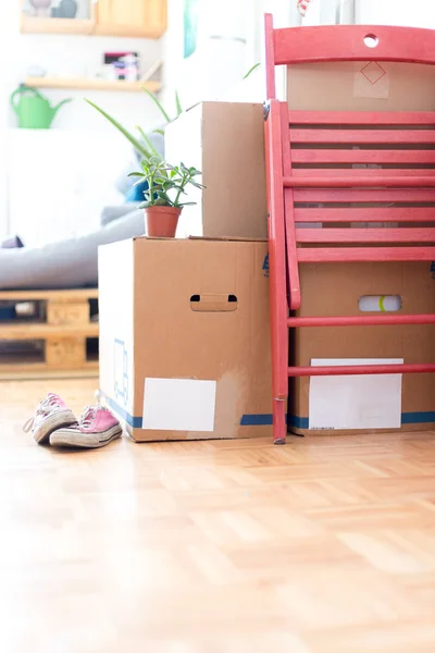 Pohyb Lepenkové Krabice Čistící Prostředky Věci Pro Stěhování Nového Domova — Stock fotografie