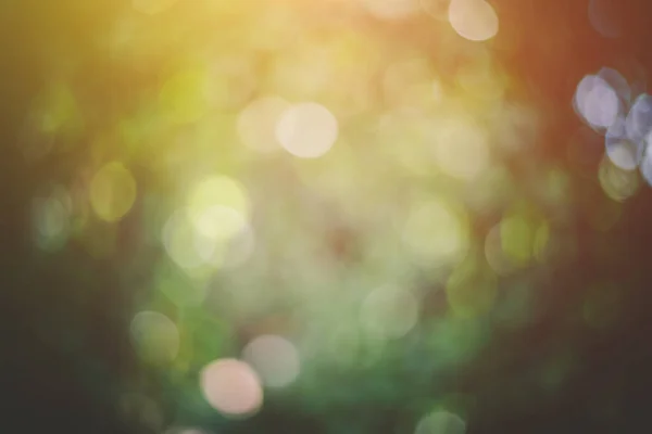 Πράσινο Φύλλα Bokeh Μοτίβο Φόντο Εικόνα Σχέδιο Φως Του Ήλιου — Φωτογραφία Αρχείου