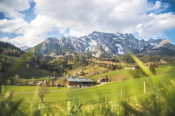 Krajobraz Alpejski Pasmo Górskie Hochknig Zielone Łąki Wiosną — Zdjęcie stockowe