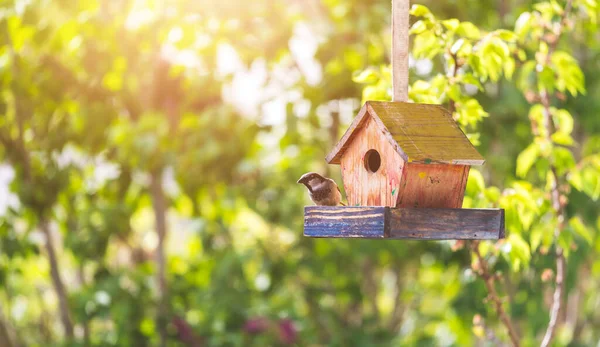 Nahaufnahme Von Bunten Hölzernen Vogelhäuschen Eigenen Garten Sommer — Stockfoto