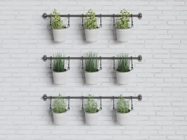 Hierbas de cocina y plantas de jardinería caseras en una pared blanca de ladrillos, concepto de minimalismo de vida saludable Imagen De Stock