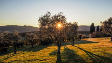 Günbatımında Toskana Vadisi Ağaçlar ve çimlerle dolu altın saat