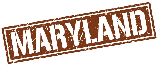Maryland kahverengi kare pul — Stok Vektör