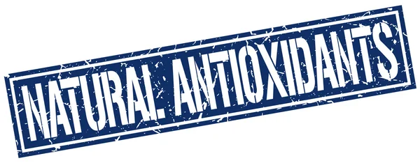 Natural antioxidants square grunge stamp — Stock Vector