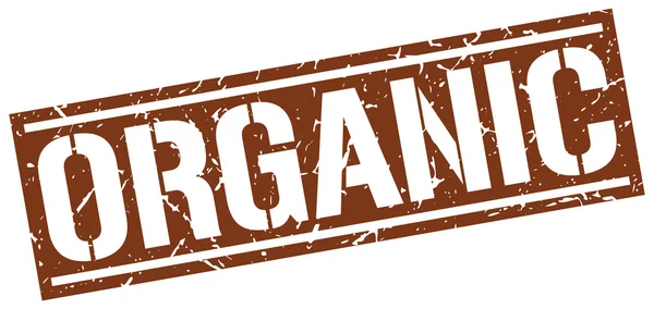 Organic square grunge stamp — Stock Vector