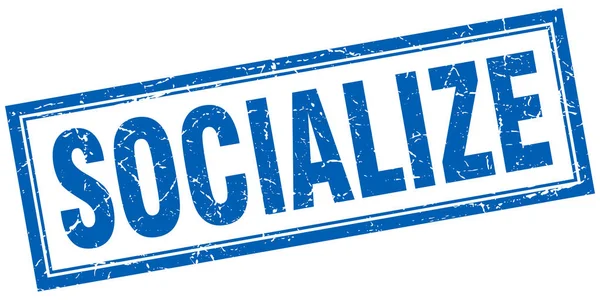Socialize square stamp — Stock Vector