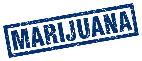 Francobollo quadrato grunge marijuana blu — Vettoriale Stock