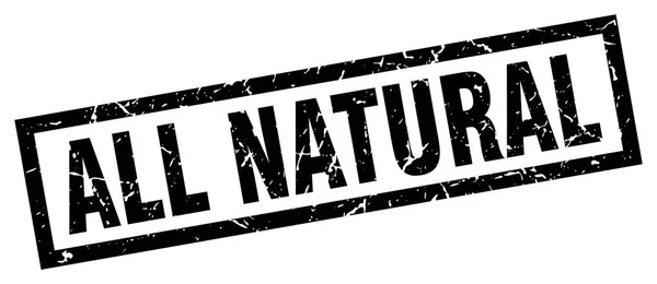Vierkante grunge black alle natuurlijke stempel — Stockvector