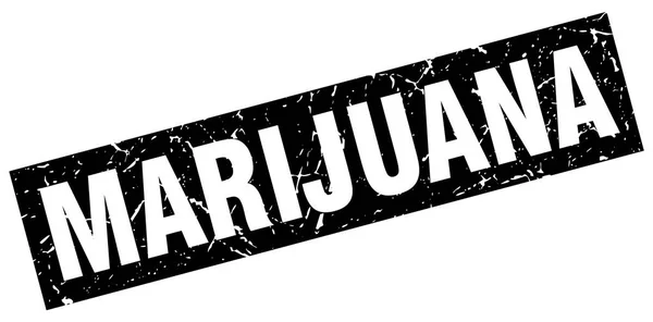 Carré grunge noir timbre marijuana — Image vectorielle