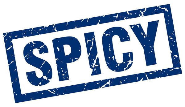 square grunge blue spicy stamp