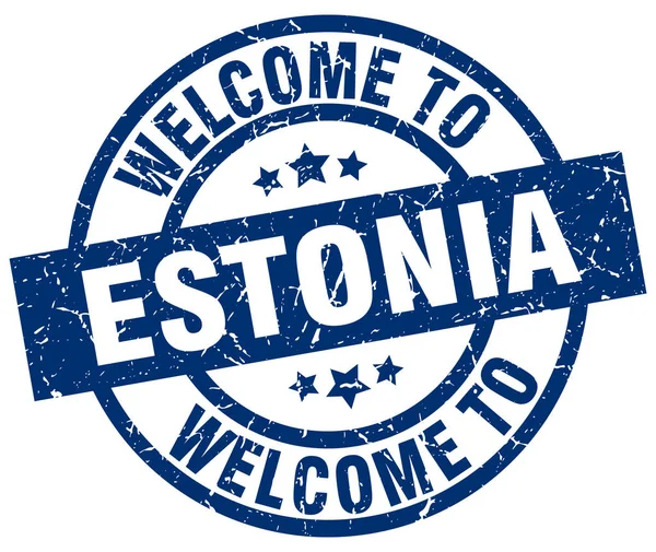 Estonya mavi pul için hoş geldiniz — Stok Vektör