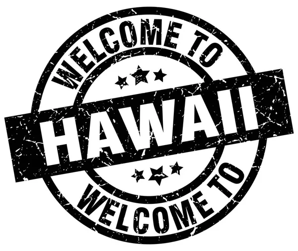 Witamy w Hawaii czarny znaczek — Wektor stockowy