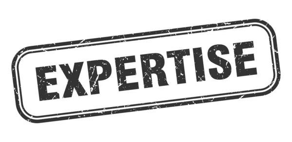 Tampon d'expertise. expertise carré grunge signe noir. étiquette d'expertise — Image vectorielle