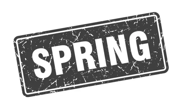 Carimbo Primavera Primavera Etiqueta Cinza Vintage Assinatura — Vetor de Stock