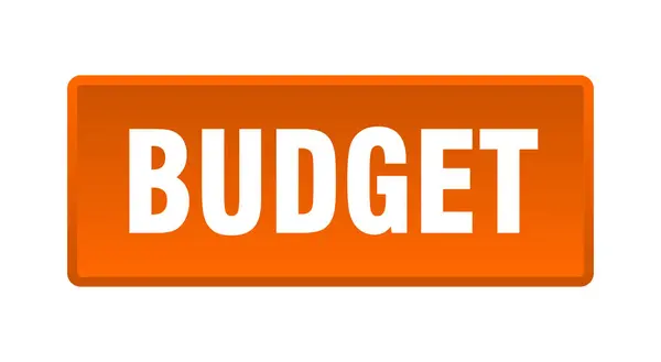 Бюджетная Кнопка Оранжевая Кнопка Бюджетного Квадрата — стоковый вектор