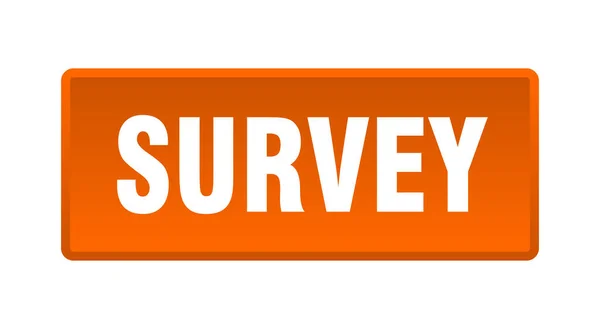 Survey Button Survey Square Orange Push Button — Stock Vector