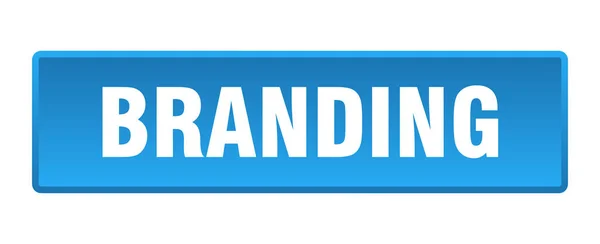 Branding Taste Branding Quadratischer Blauer Druckknopf — Stockvektor